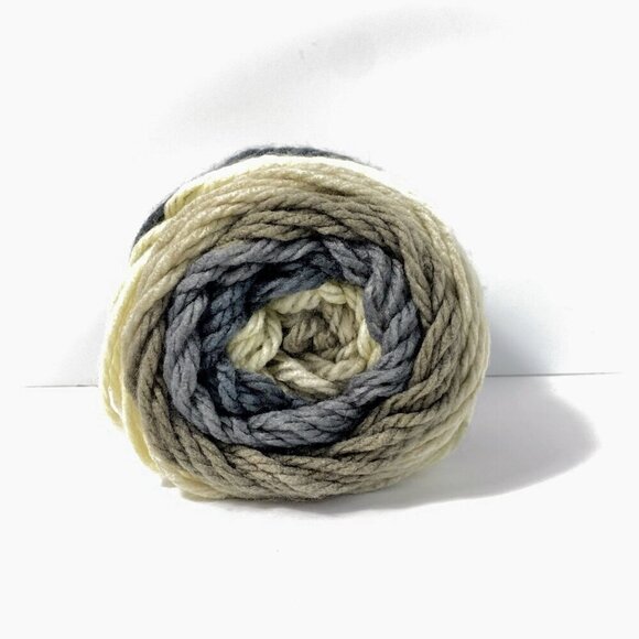 Caron Chunky Cakes Rice Pudding Yarn 17024 9 Oz Skein - Picture 1 of 5
